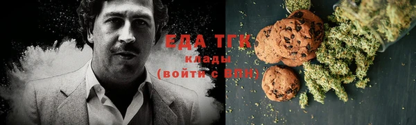 мдпв Гусь-Хрустальный