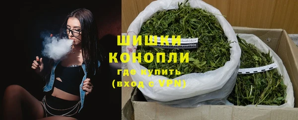 Альфа ПВП Гусев