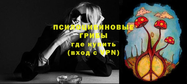 мдпв Гусь-Хрустальный