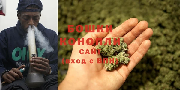 мдпв Гусь-Хрустальный