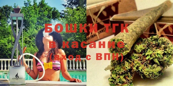 мдпв Гусь-Хрустальный