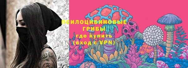 мдпв Гусь-Хрустальный