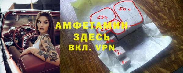 мдпв Гусь-Хрустальный