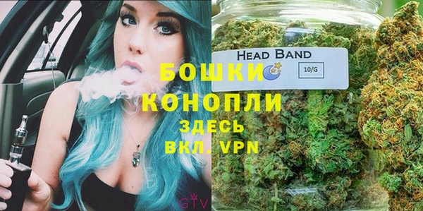 мдпв Гусь-Хрустальный