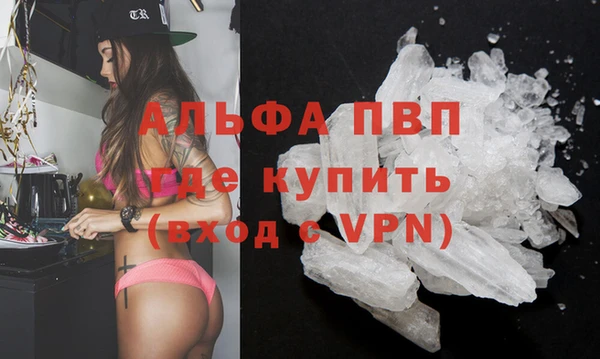 мдпв Гусь-Хрустальный