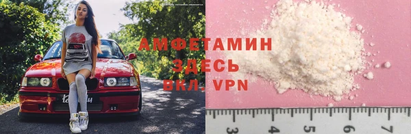 мдпв Гусь-Хрустальный