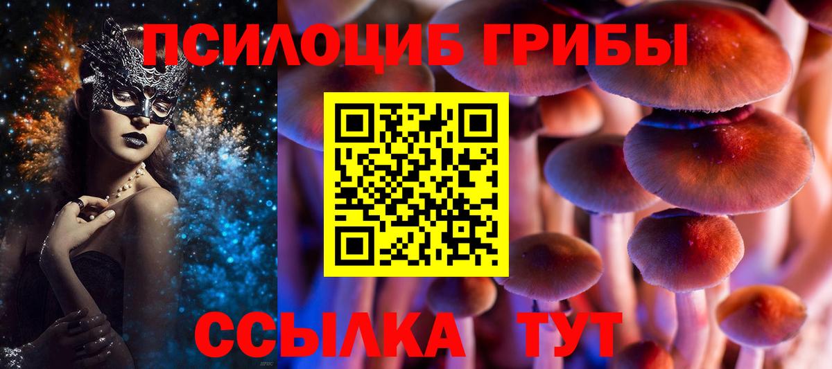 Псилоцибиновые грибы MAGIC MUSHROOMS  Вход с VPN  Дятьково 