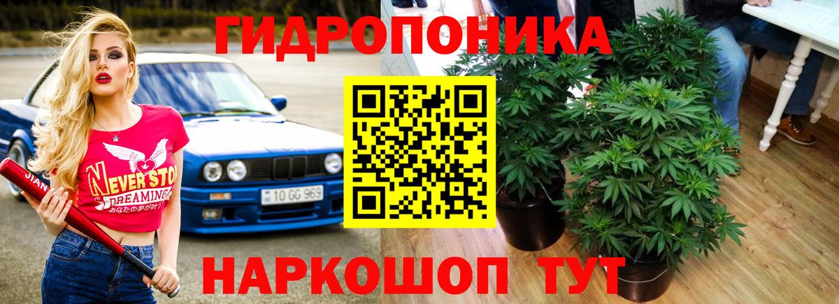 Канабис сатива Дятьково